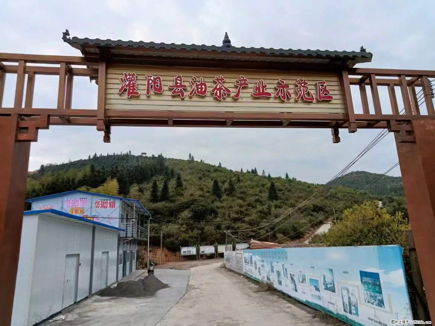 【灌阳县油茶产业示范区】一个有着充实的精神生活的人,对待身外之物自会有一种淡泊的态度 - 美食天地 - 楚雄生活社区 - 楚雄28生活网 cx.28life.com
