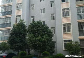 全新精装一楼带花园带家具拎包即住楚风苑盛世舒苑格林天城 - 楚雄28生活网 cx.28life.com