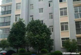 彝海公园旁楚风苑盛世舒苑格林天城标准大三房出租带家具家电 - 楚雄28生活网 cx.28life.com