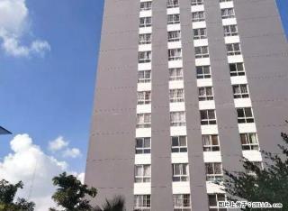 因房东工作关系现急租西晨一品世纪经典小区住房一套 - 楚雄28生活网 cx.28life.com