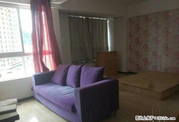 太阳成精装修公寓1室1厅1卫600元拎包入住家具全 - 房屋出租 - 房屋租售 - 楚雄分类信息 - 楚雄28生活网 cx.28life.com