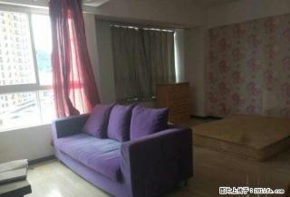 太阳成精装修公寓1室1厅1卫600元拎包入住家具全 - 楚雄28生活网 cx.28life.com