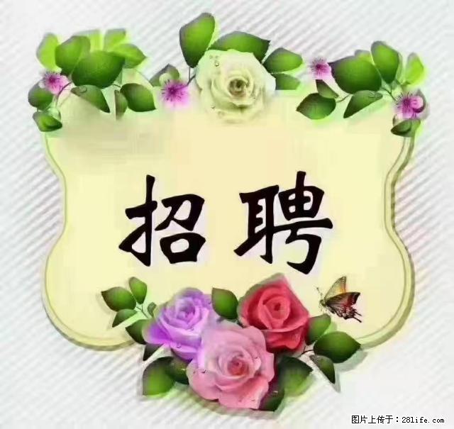 【招聘】住家育儿嫂,上户日期:4月4日,工作地址:上海 黄浦区 - 职场交流 - 楚雄生活社区 - 楚雄28生活网 cx.28life.com