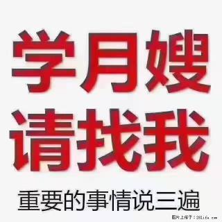 【招聘】月嫂，上海徐汇区 - 楚雄28生活网 cx.28life.com