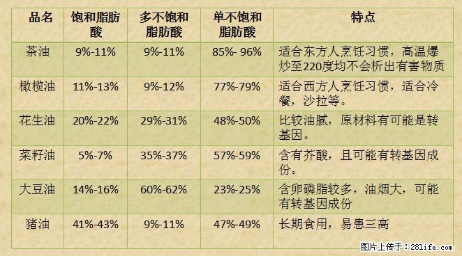 揭秘茶油的5大核心营养成分!被称为人体健康的“守护盾”! - 楚雄生活资讯 - 楚雄28生活网 cx.28life.com