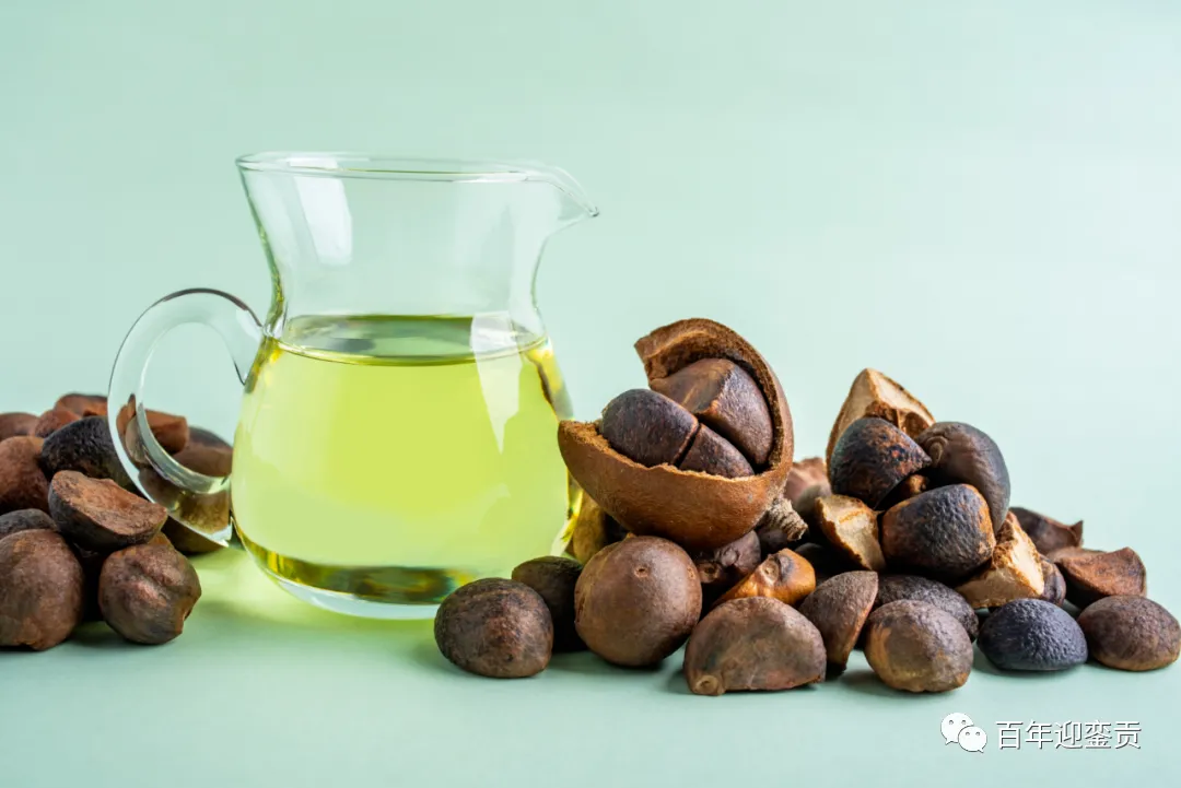 世界没有真相，只有认知，最好的食用油是中国的山茶油！ - 楚雄生活资讯 - 楚雄28生活网 cx.28life.com