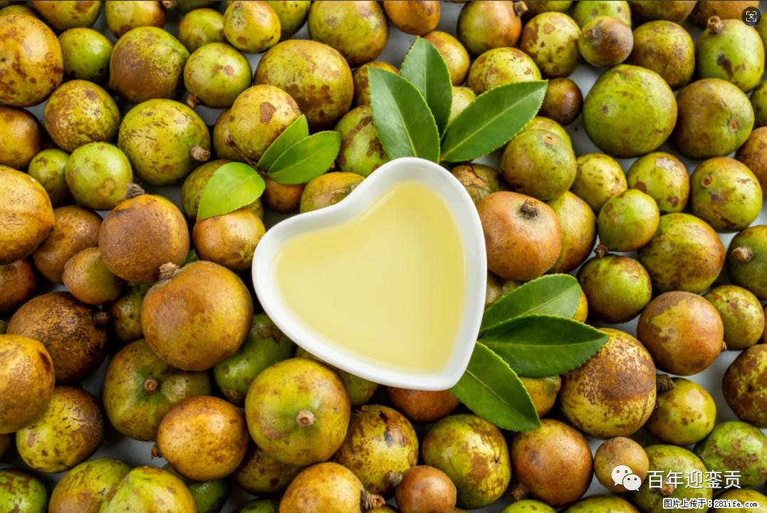 世界没有真相，只有认知，最好的食用油是中国的山茶油！ - 楚雄生活资讯 - 楚雄28生活网 cx.28life.com