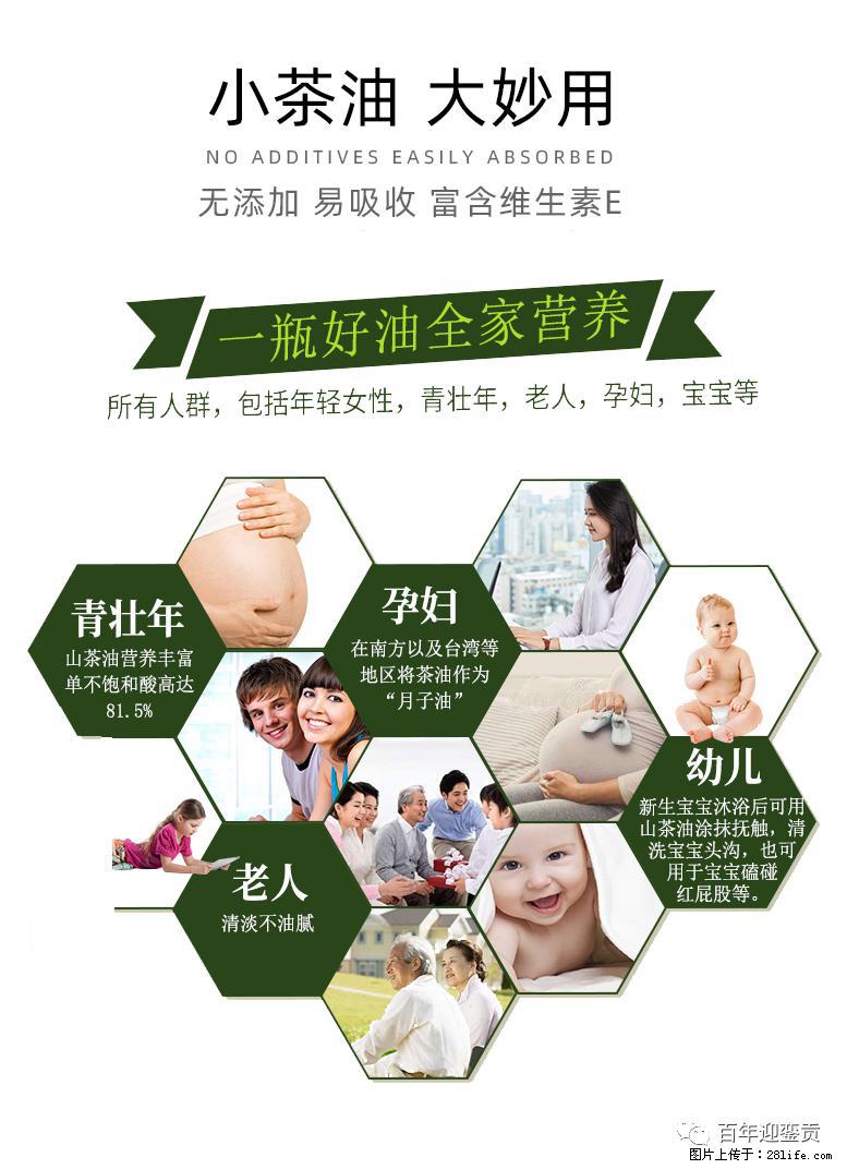 世界没有真相，只有认知，最好的食用油是中国的山茶油！ - 楚雄生活资讯 - 楚雄28生活网 cx.28life.com