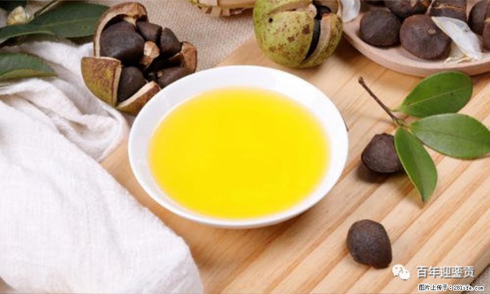 世界没有真相，只有认知，最好的食用油是中国的山茶油！ - 楚雄生活资讯 - 楚雄28生活网 cx.28life.com