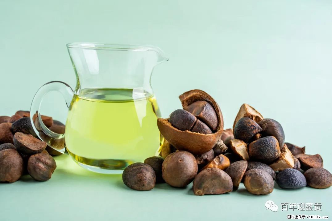 世界没有真相，只有认知，最好的食用油是中国的山茶油！ - 楚雄生活资讯 - 楚雄28生活网 cx.28life.com