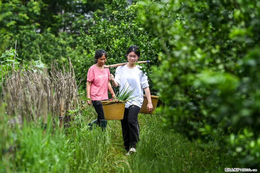 全网追的“扁担女孩”，找了一份暑假工，时薪12元 - 楚雄生活资讯 - 楚雄28生活网 cx.28life.com