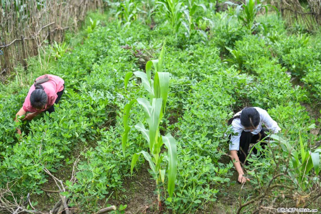 全网追的“扁担女孩”，找了一份暑假工，时薪12元 - 楚雄生活资讯 - 楚雄28生活网 cx.28life.com