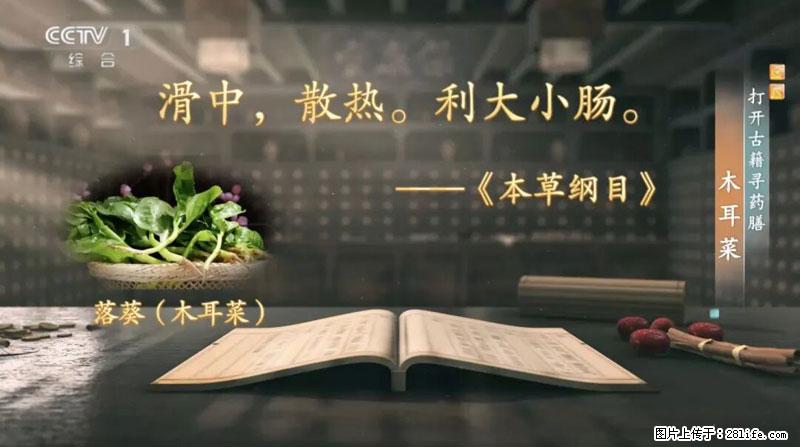 比牛奶补钙还厉害！凉血解毒、稳血糖...这菜冬天必吃，很多人却当草 - 楚雄生活资讯 - 楚雄28生活网 cx.28life.com