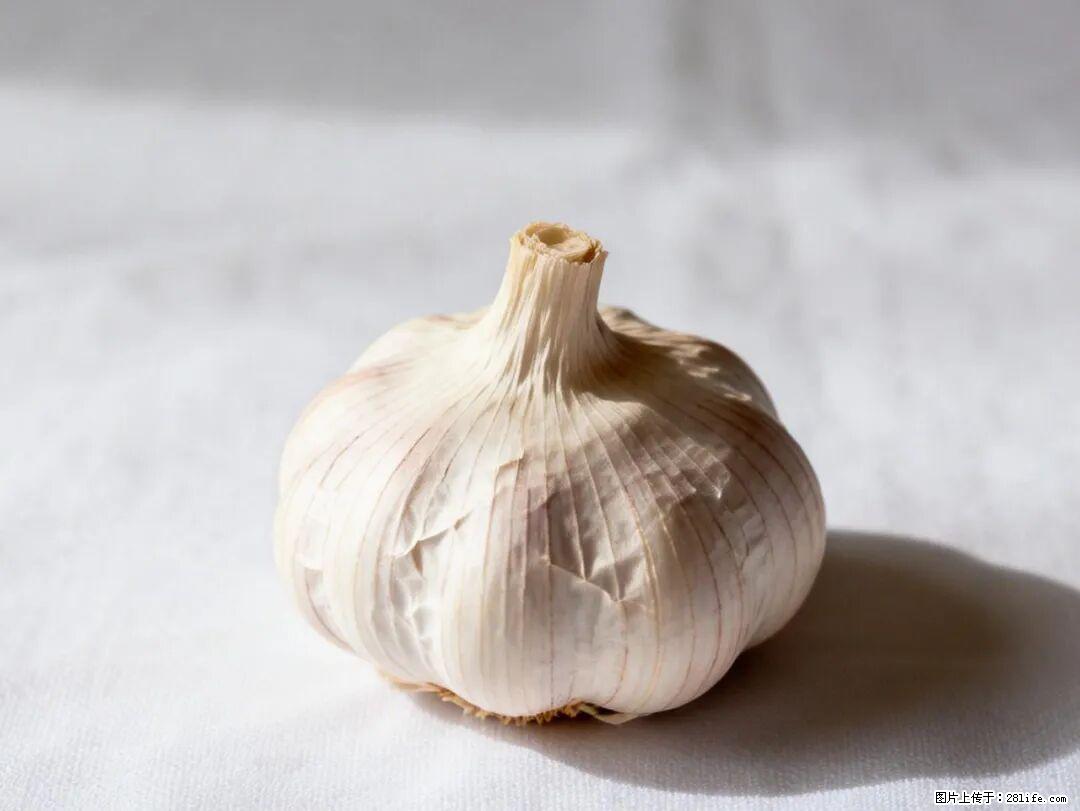 关于大蒜,除了“天然抗生素”,这4个谣言更该警惕! - 楚雄生活资讯 - 楚雄28生活网 cx.28life.com