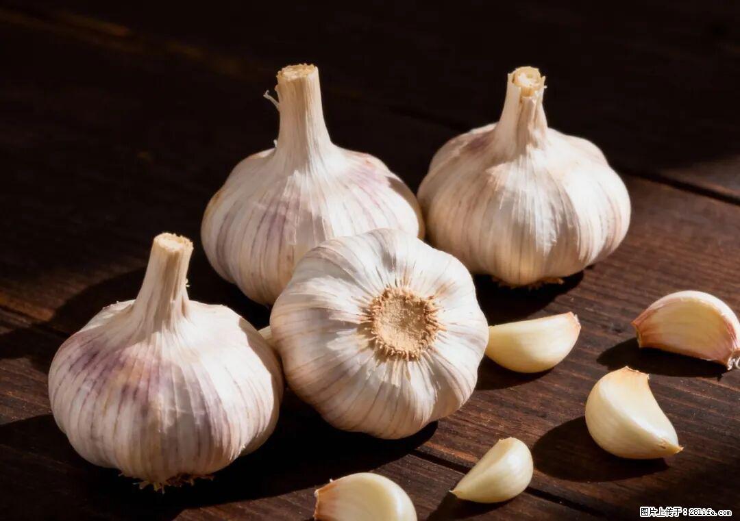 关于大蒜,除了“天然抗生素”,这4个谣言更该警惕! - 楚雄生活资讯 - 楚雄28生活网 cx.28life.com