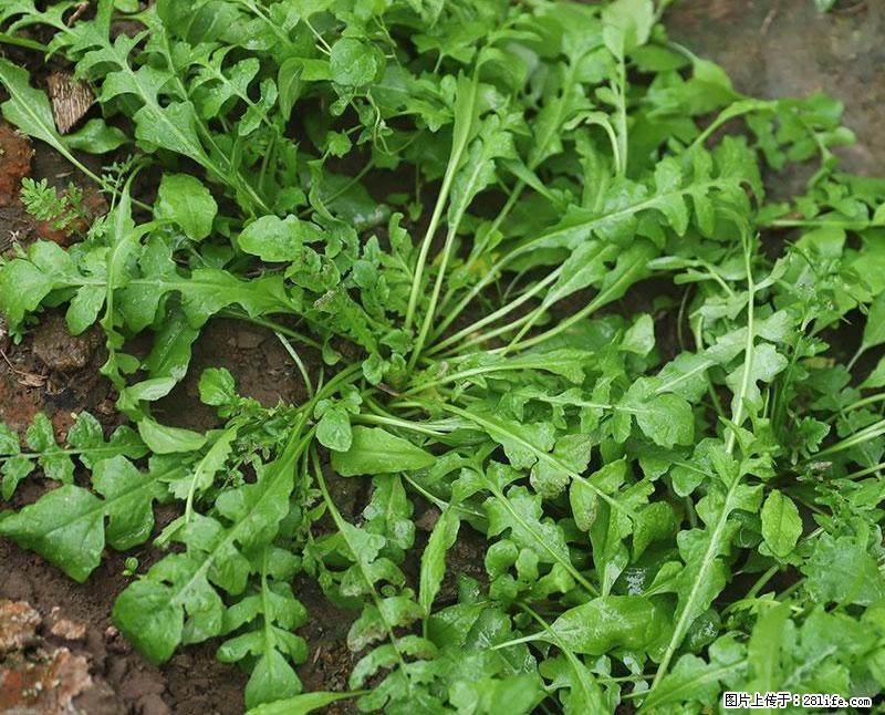 这些蔬菜是“天然钙片”，这6种被医生重点推荐 - 楚雄生活资讯 - 楚雄28生活网 cx.28life.com